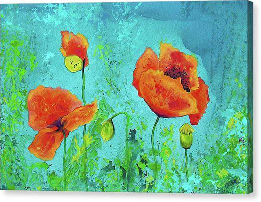 California Poppies