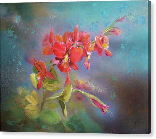 Red Orchid