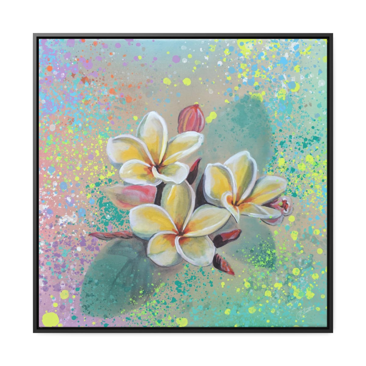 Square Frame Canvas - Plumeria