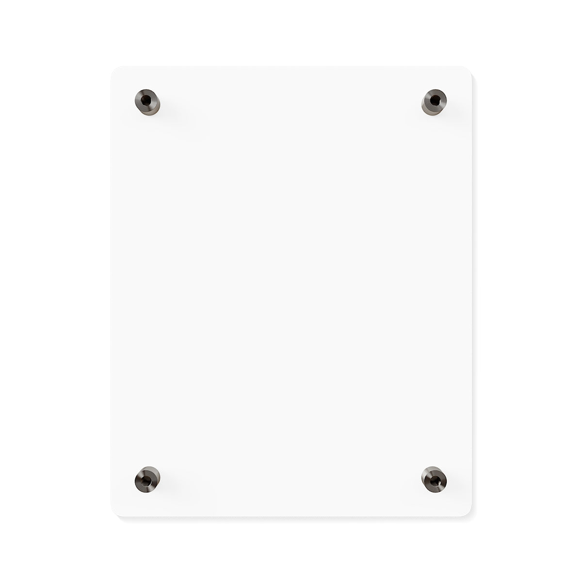 Acrylic Wall Art Panel - Haflinger Horse