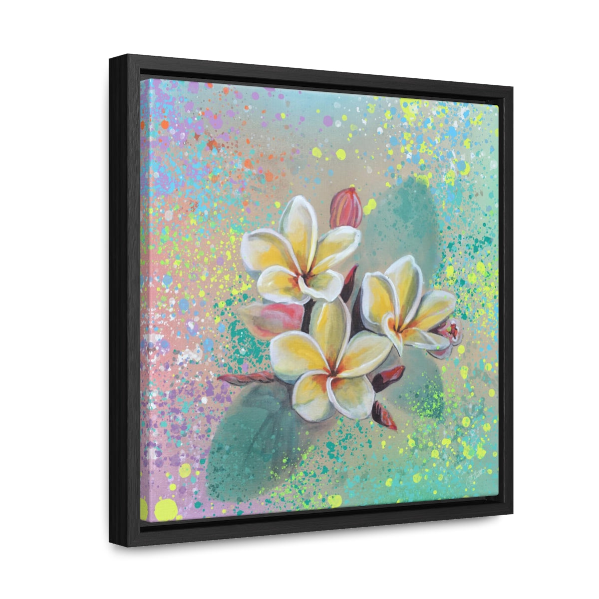 Square Frame Canvas - Plumeria
