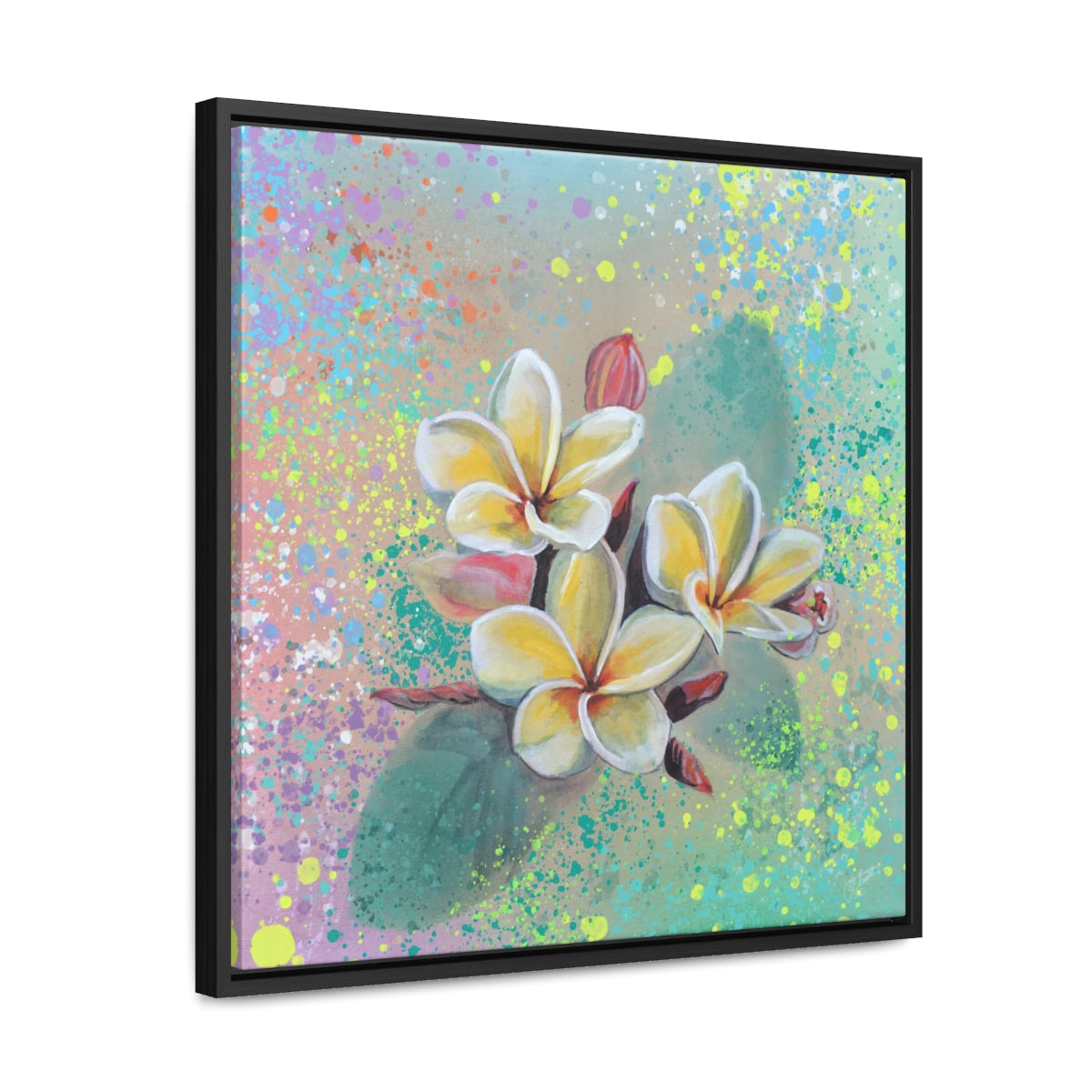Square Frame Canvas - Plumeria