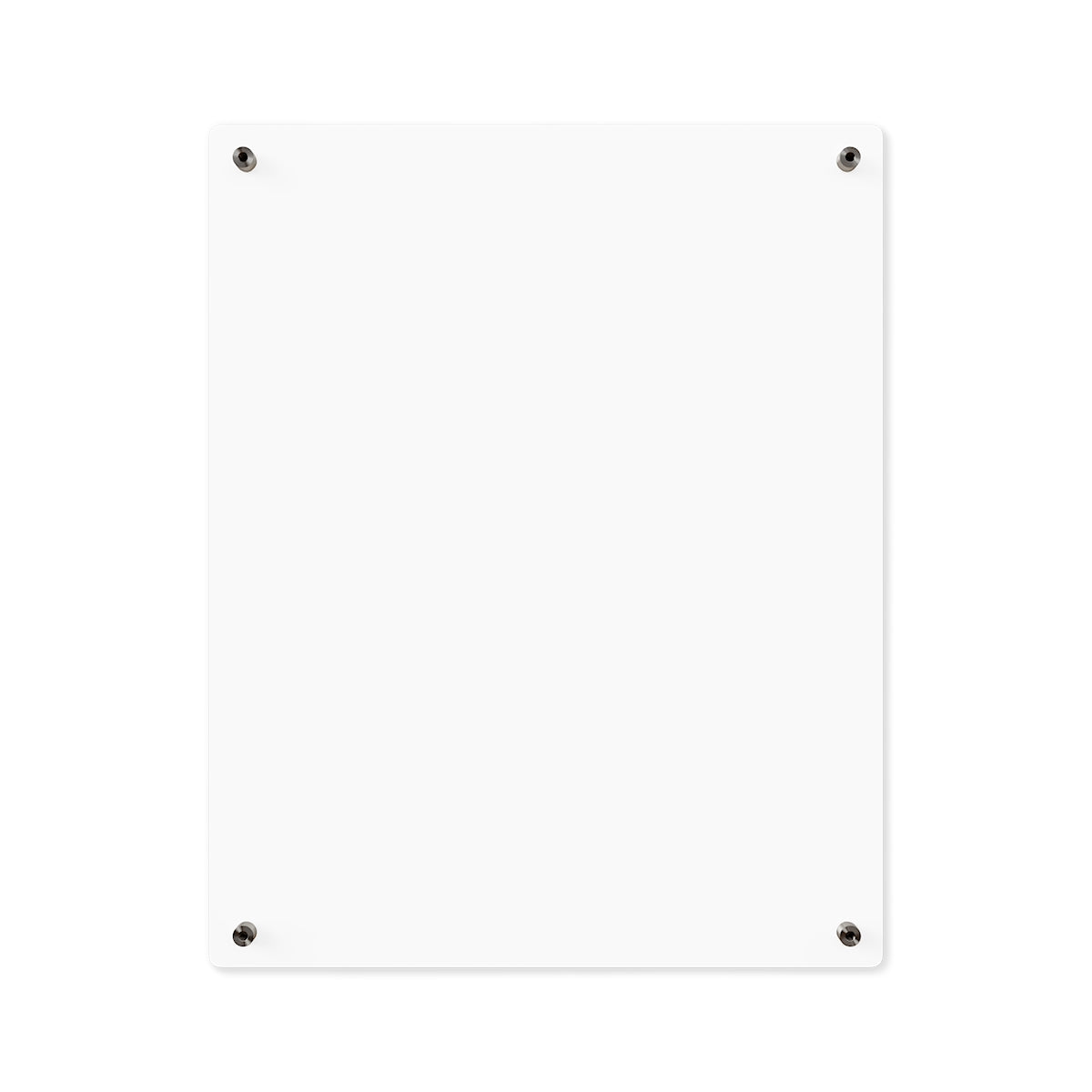 Acrylic Wall Art Panel - Morgan Horse