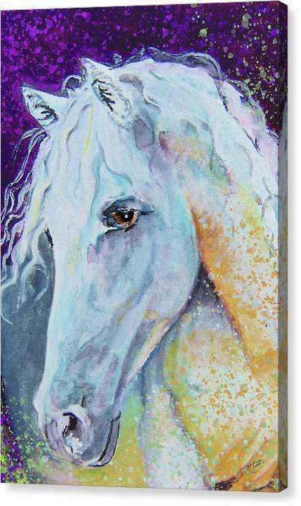 Andalusian - Horse Portrait