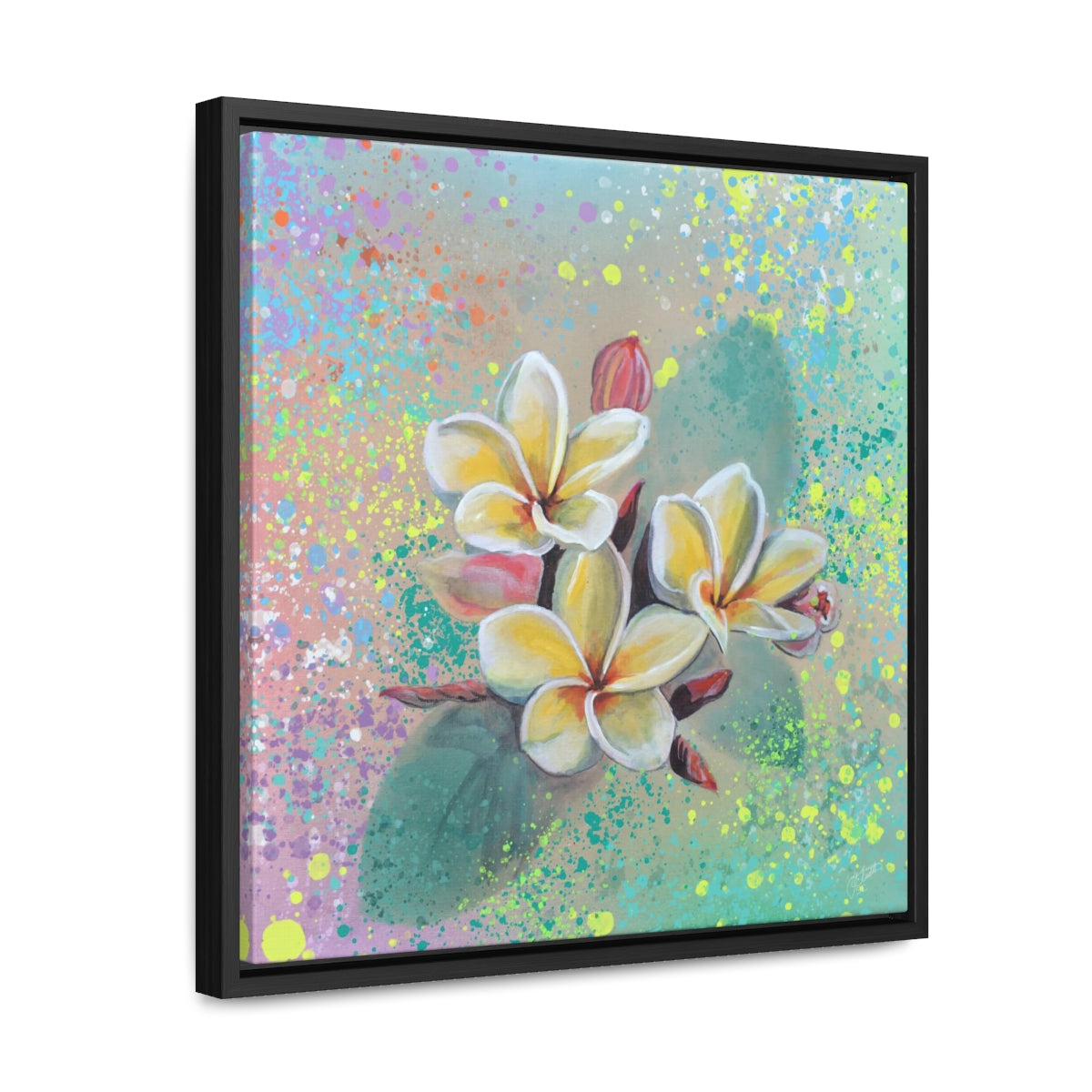 Square Frame Canvas - Plumeria