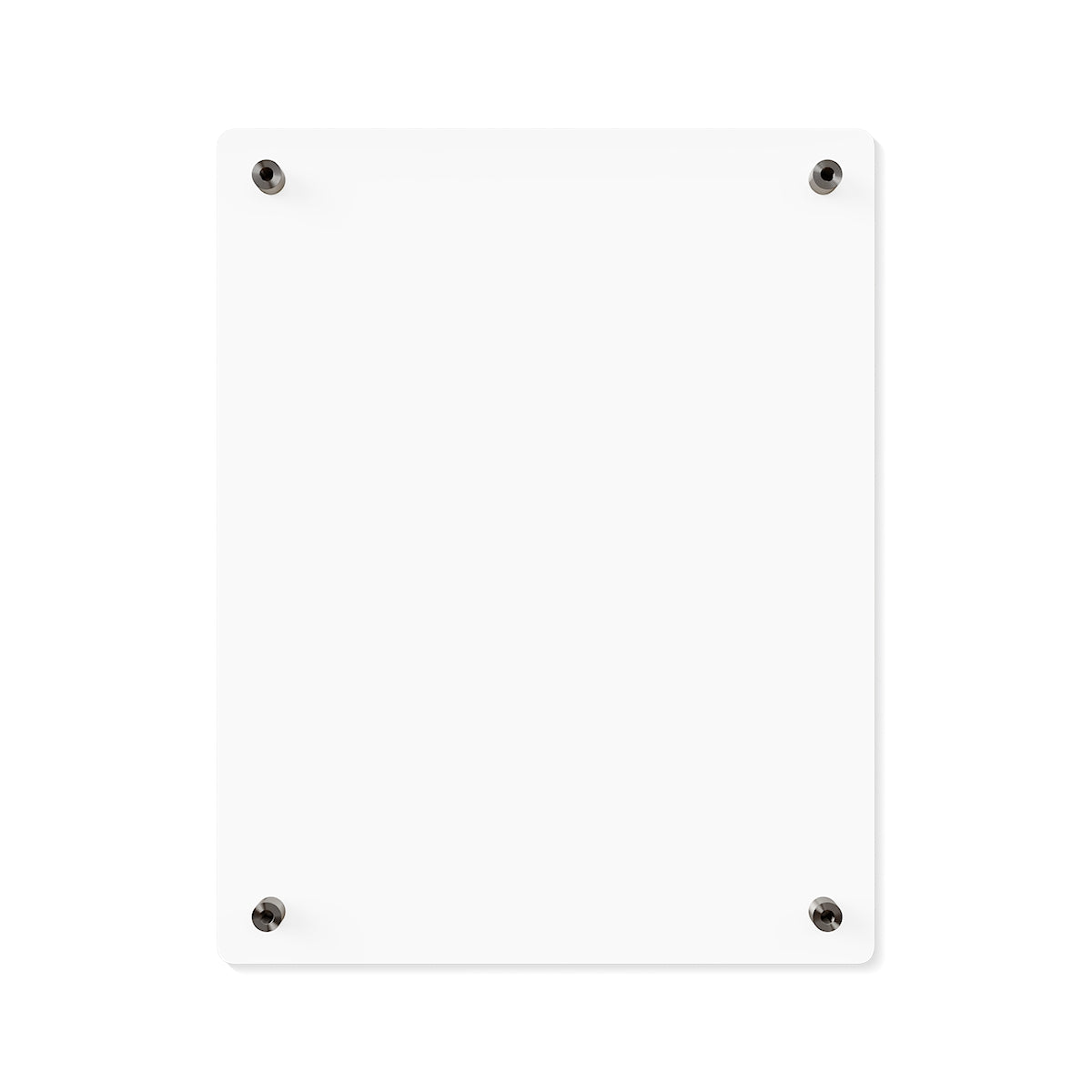 Acrylic Wall Art Panel - Morgan Horse