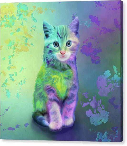 Feline Friend