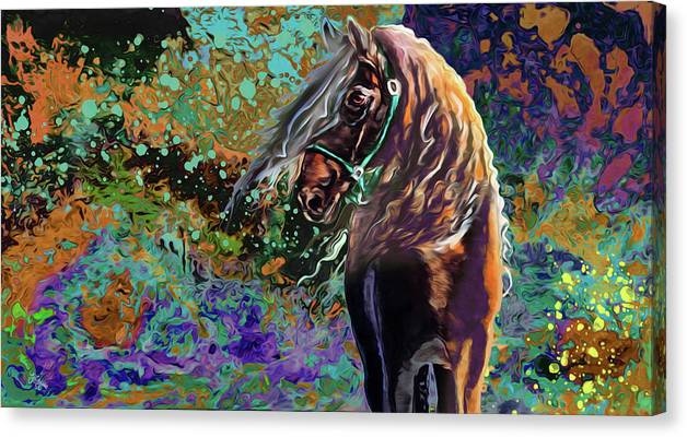 Frisian Night