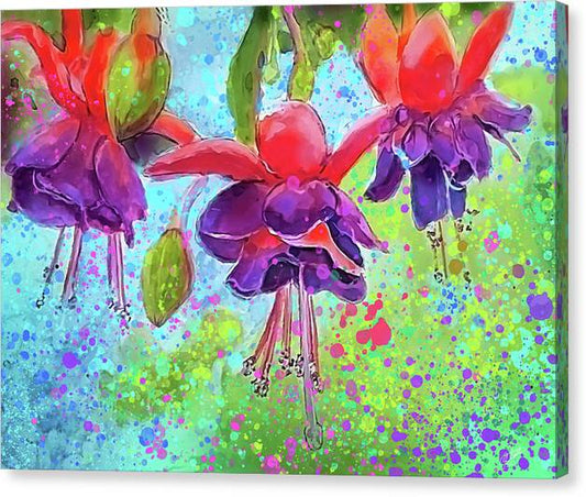 Fuchsia