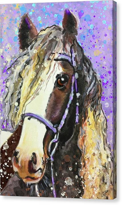 Gypsy - Horse Portrait