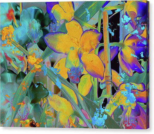 Midnight Orchid