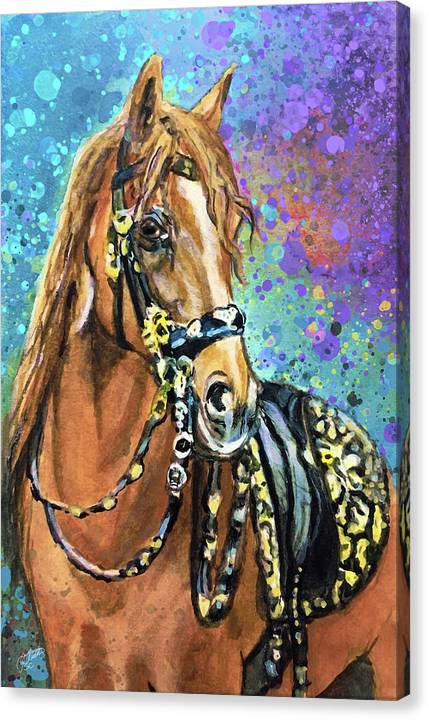 Morgan - Horse Portrait