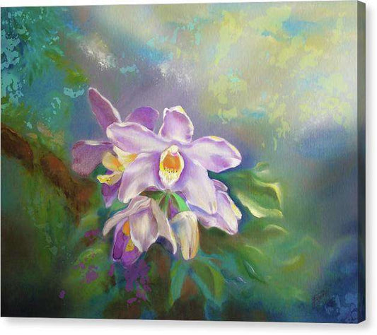 White Orchid