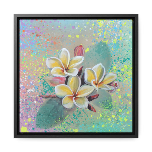 Square Frame Canvas - Plumeria