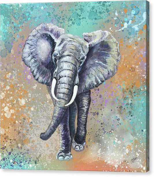 African Elephant - African Series