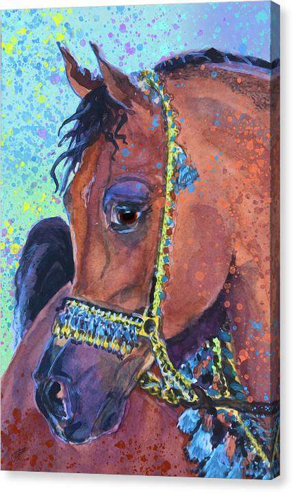 Arabian - Horse Portrait