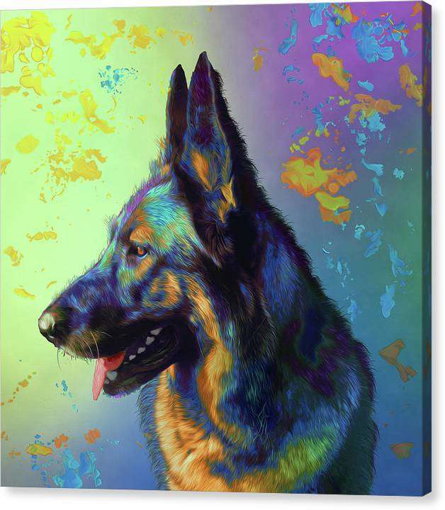 German Shepherd